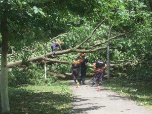 Спасатели Республиканской профессиональной поисково-спасательной службы приняли участие в ликвидации последствий града и урагана, обрушившихся на Беслан